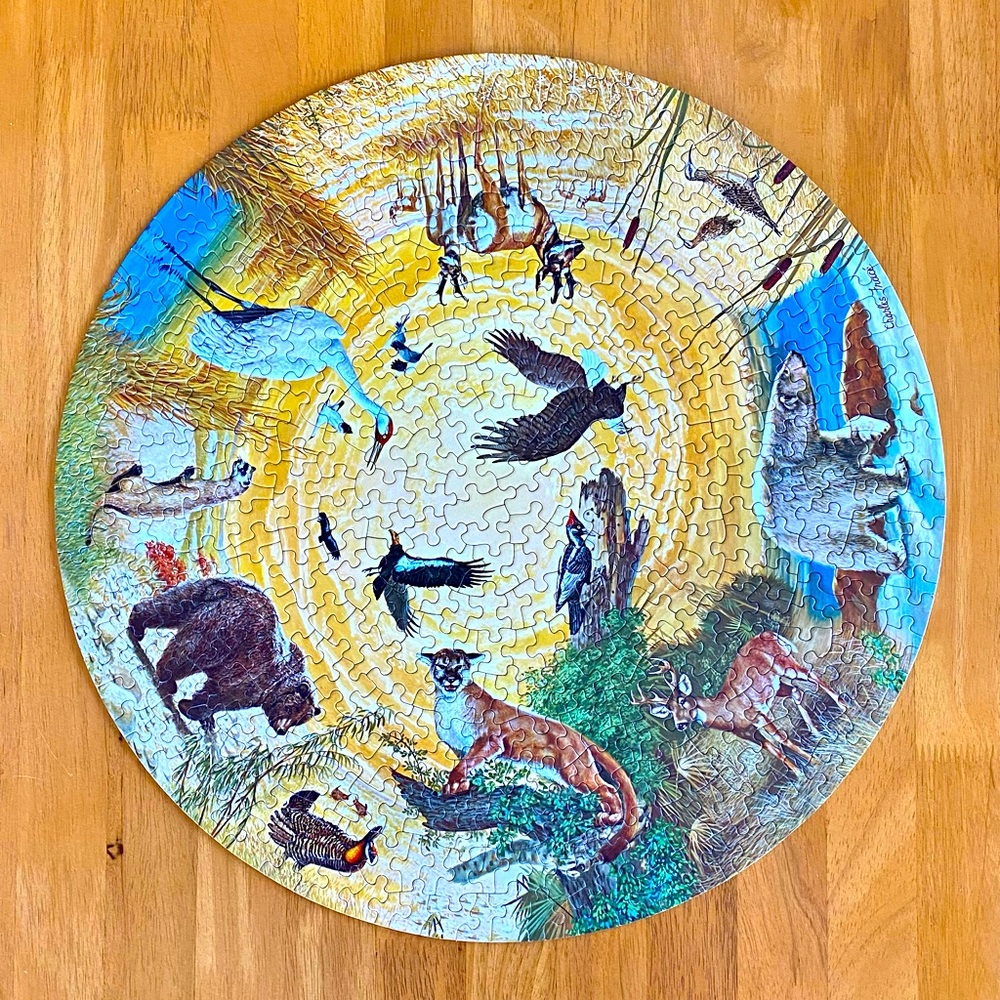 VINTAGE SPRINGBOK PUZZLE
